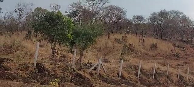 Plot For Sale  In Nandoshi