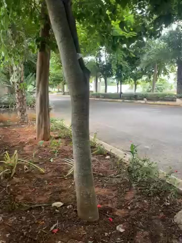 Plot For Sale  In Aditri Tulips Layout  In Kuthaganahalli