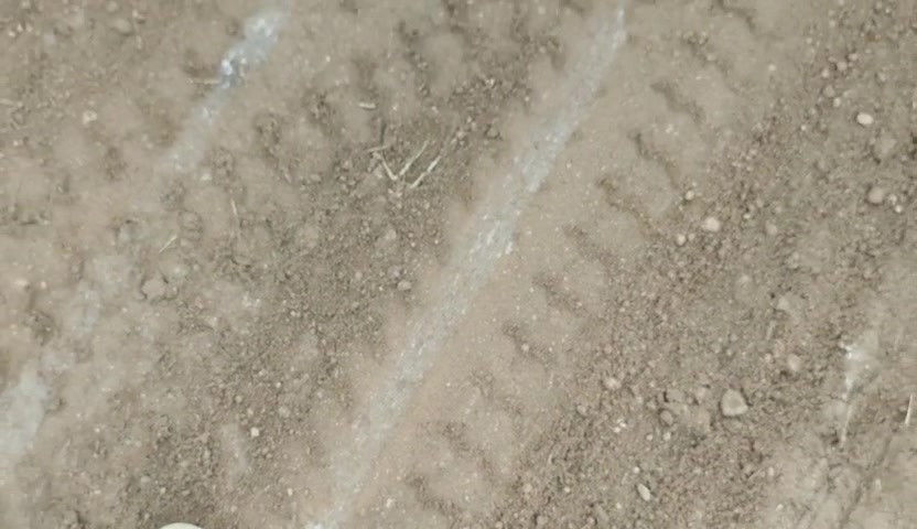 Plot For Sale  In Brindhavan Farms In Shoolagiri