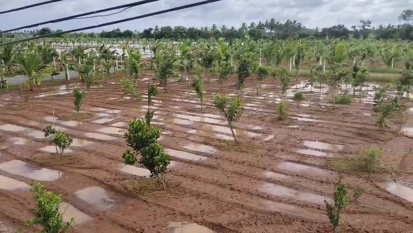 Industrial Building in Iyyappanthangal, Chennai for sale 