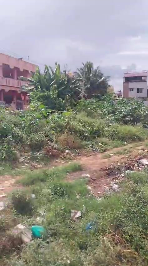 Plot For Sale  In Dandupalya