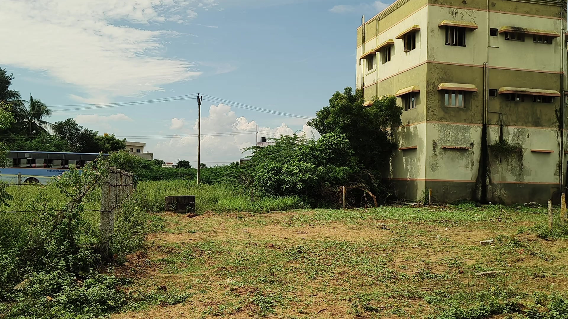 Plot For Sale  In Nethaji Nagar In Thaneerkulam