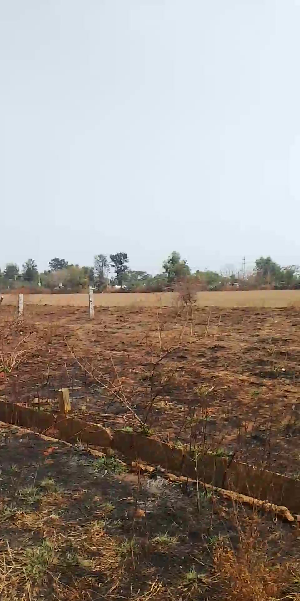 Plot For Sale  In Devanahalli