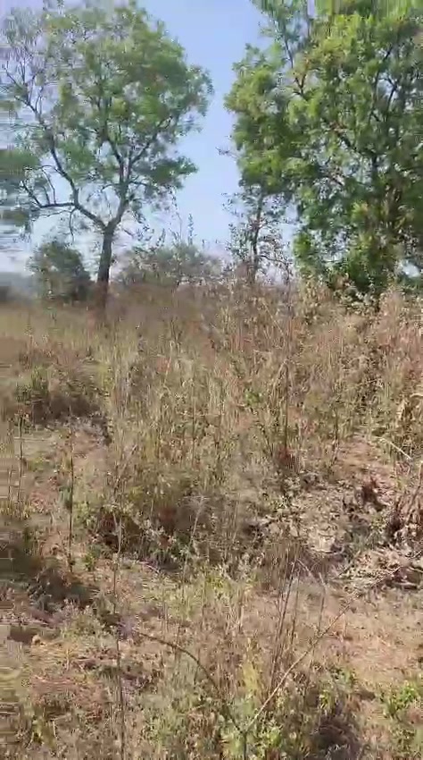 Plot For Sale  In Wada Palghar