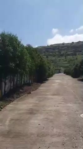 Plot For Sale  In Mahalaxmi In Bakori