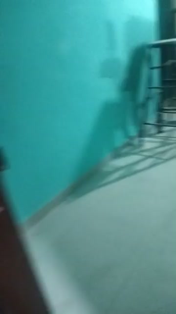 1 BHK Flat In Flower Buildinh for Rent  In Maruthi Sevanagar