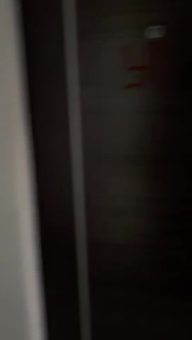 1 BHK Flat In F5 Mount Unique Residences for Rent  In Baner