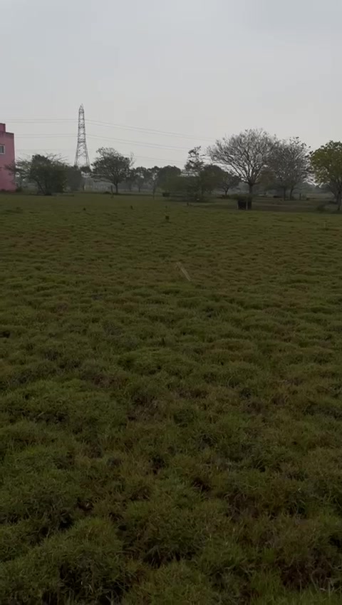 Plot For Sale  In Vgn Nagar