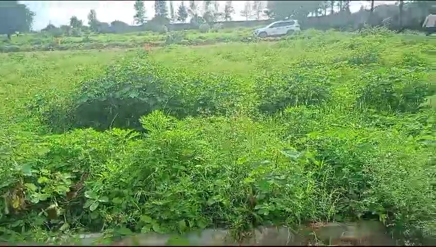 Plot For Sale  In Golden Gate In Shadnagar