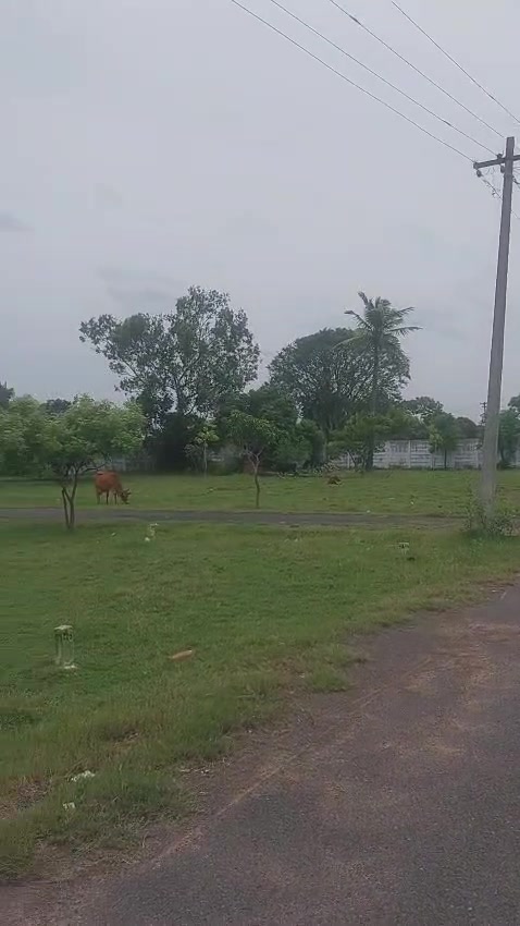 Plot For Sale  In The Chennai Omr Castle City Phase 3 In Thiruporur