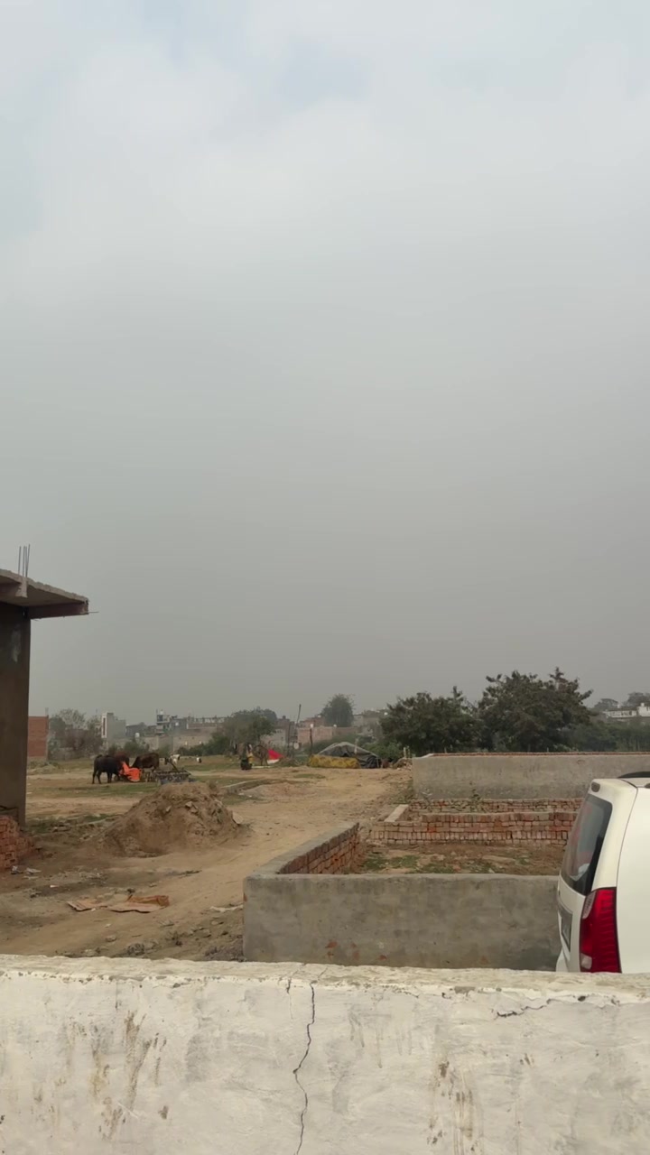 Plot For Sale  In Sector 80