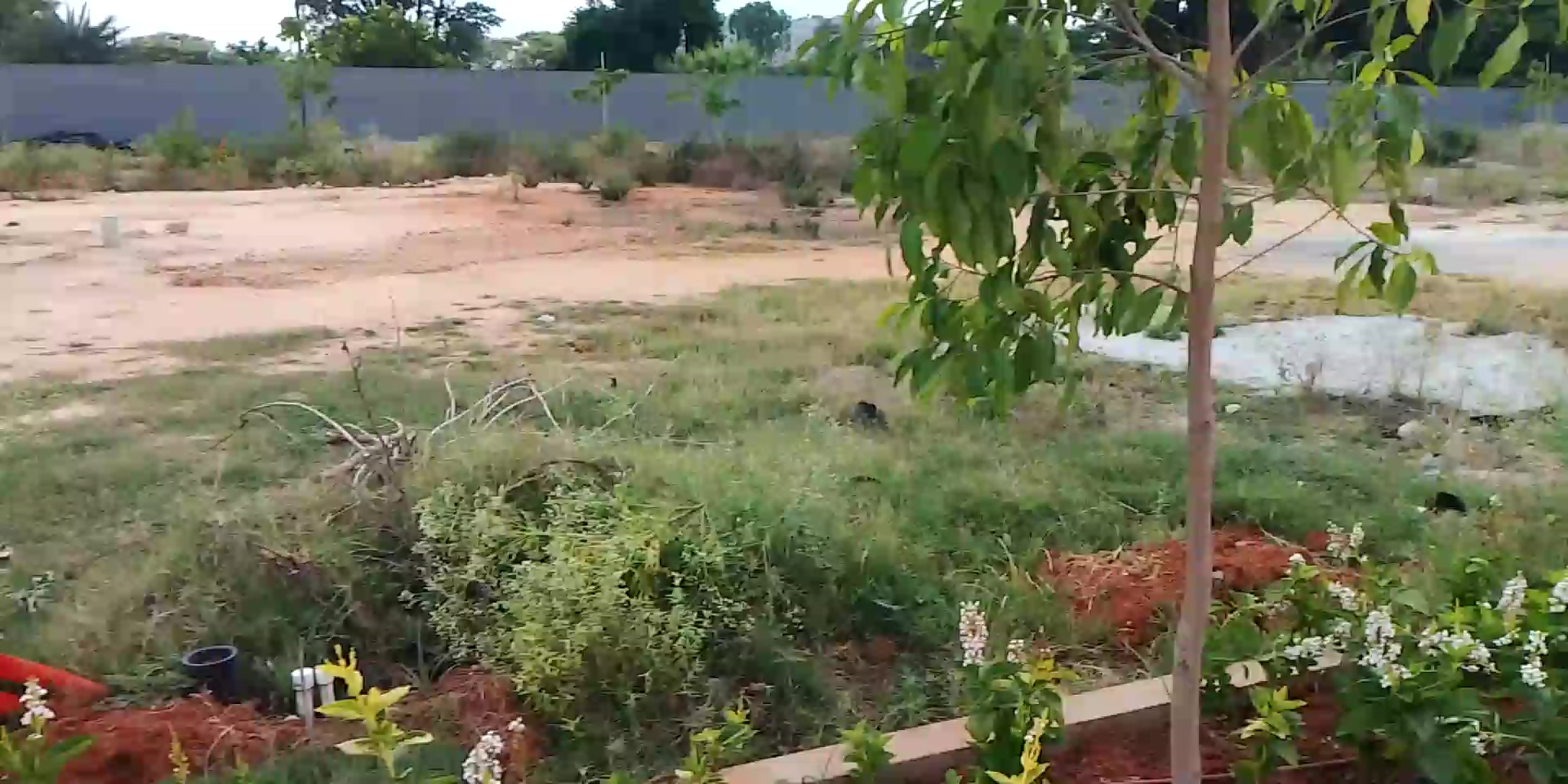 Plot For Sale  In Assetz Promise Of Spring In Devanahalli