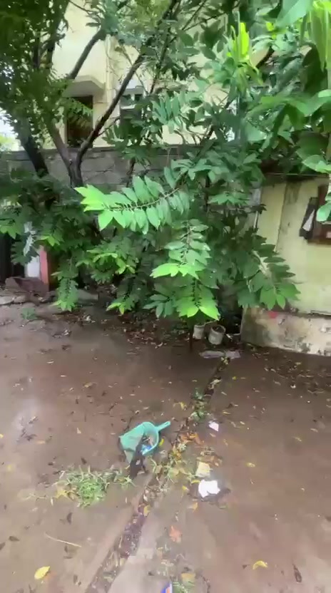 Plot For Sale  In David Castle Dianath David