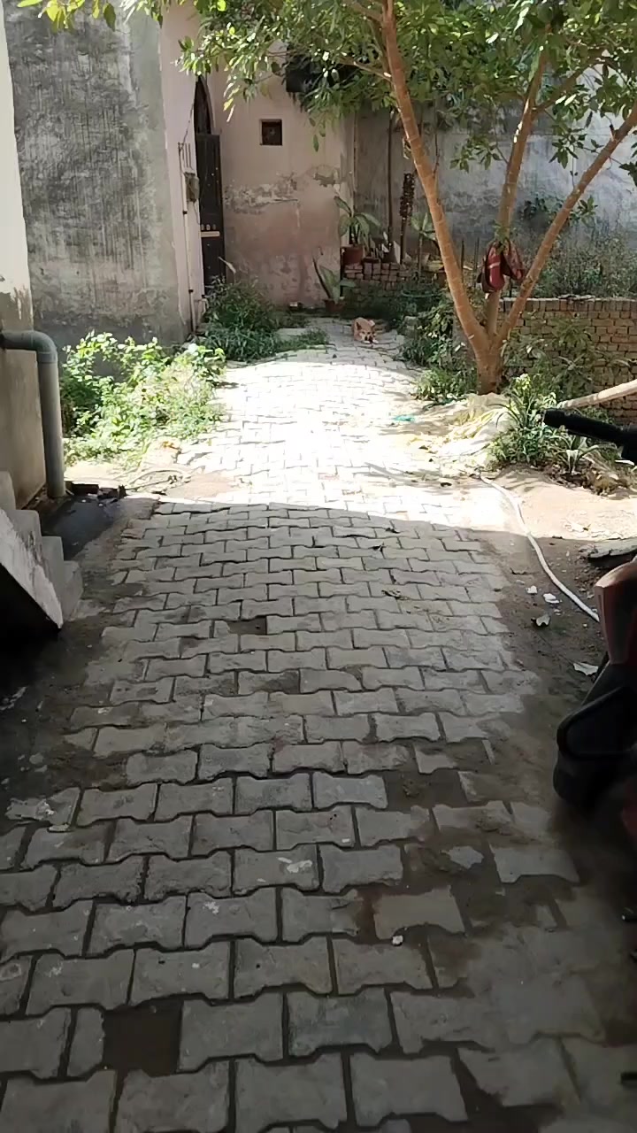 Plot For Sale  In Vijay Nagar