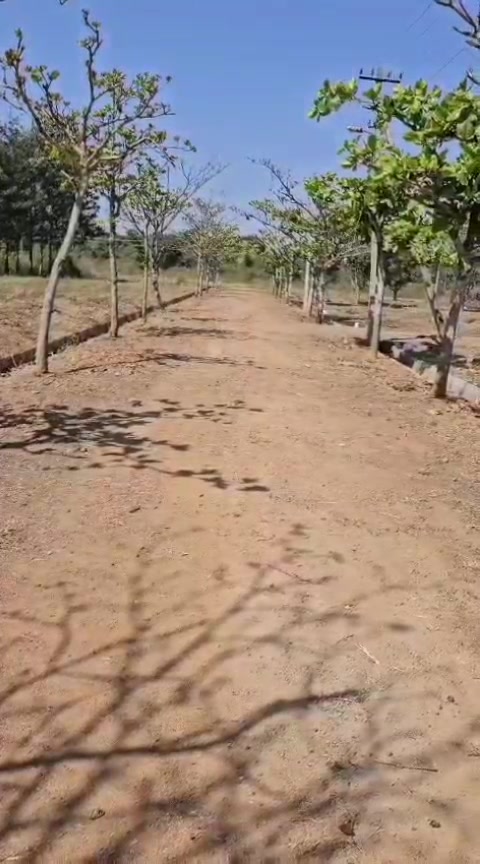 Plot For Sale  In Aishwarya Royal Park Avenues In Marsur