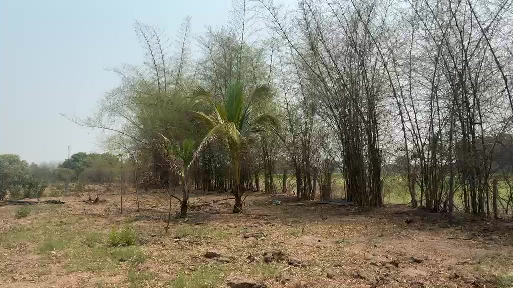 Plot For Sale  In Nemarugomula
