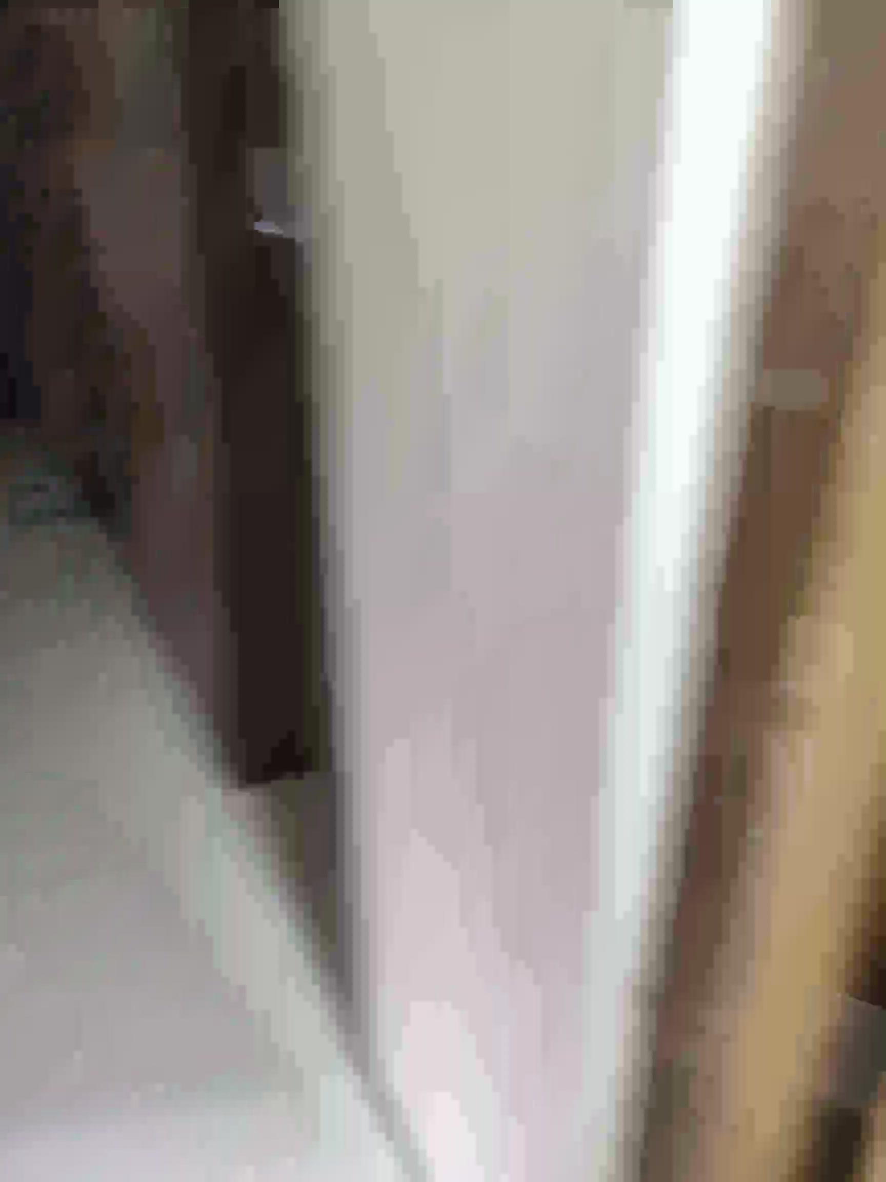 3 BHK Flat In Dss Mahavir Millennium for Rent  In Vasant Vihar